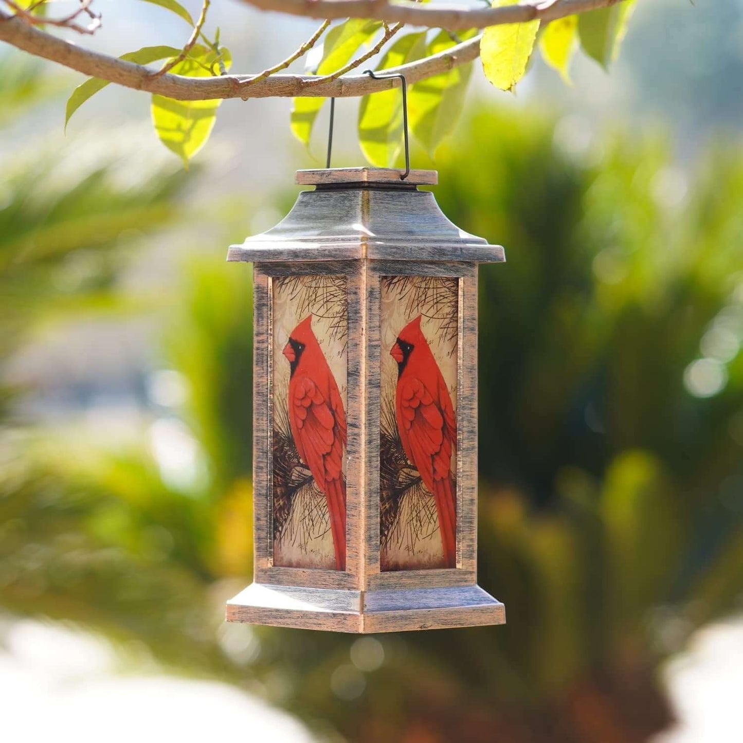 Solar Cardinal Lantern Outdoor Garden Light
