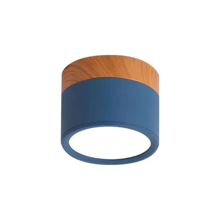 Modern Cylinder LED Ceiling Light for Hallways