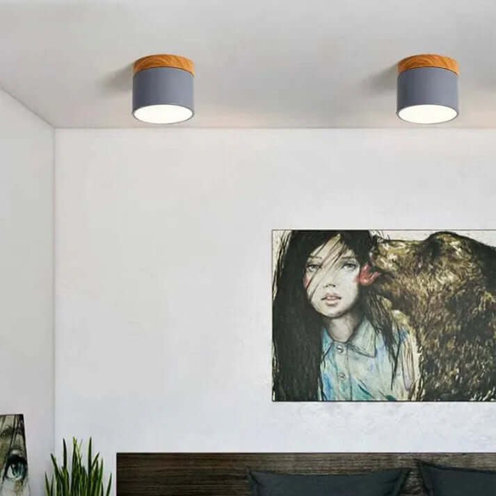Modern Cylinder LED Ceiling Light for Hallways