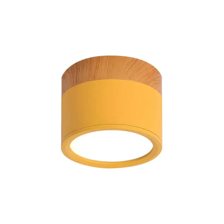 Modern Cylinder LED Ceiling Light for Hallways