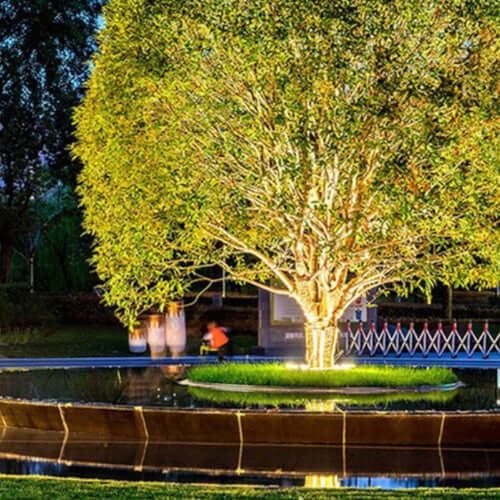 Outdoor Tree Spotlight