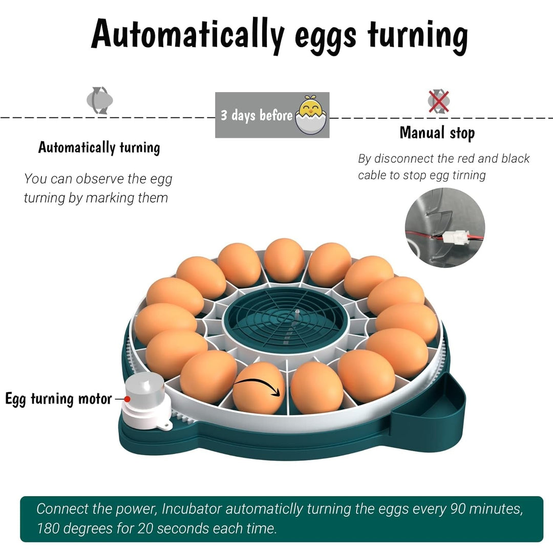 15 egg incubator with auto humidity and candler, showing a clear lid and digital display for easy monitoring and control.