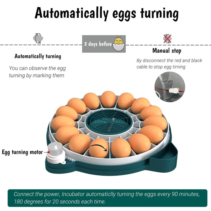 15 egg incubator with auto humidity and candler, showing a clear lid and digital display for easy monitoring and control.