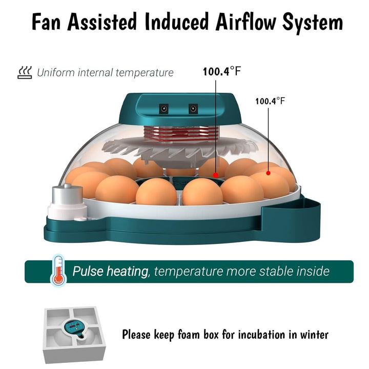 15 egg incubator with auto humidity and candler, showing a clear lid and digital display for easy monitoring and control.