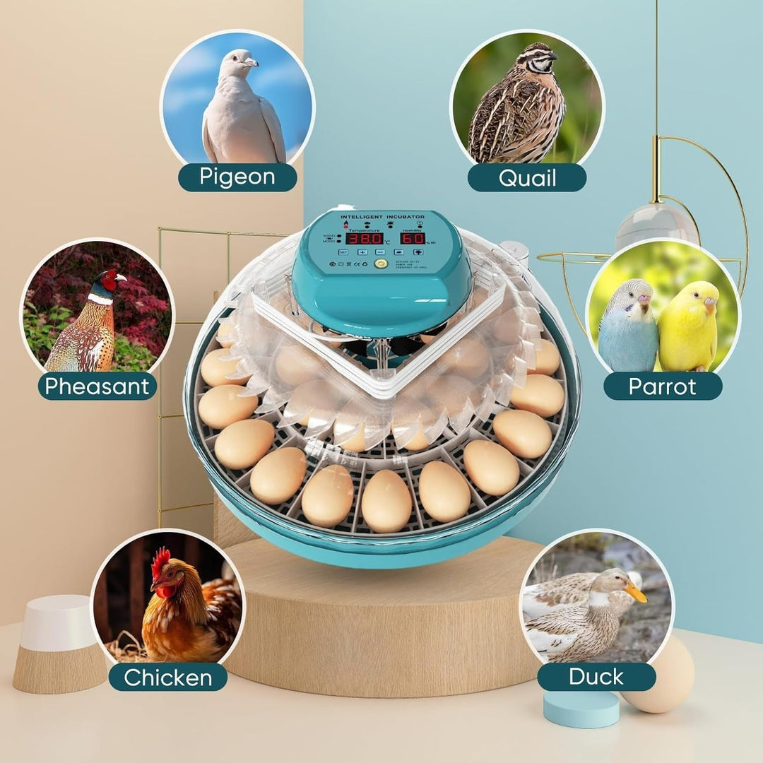 15 egg incubator with auto humidity and candler, showing a clear lid and digital display for easy monitoring and control.