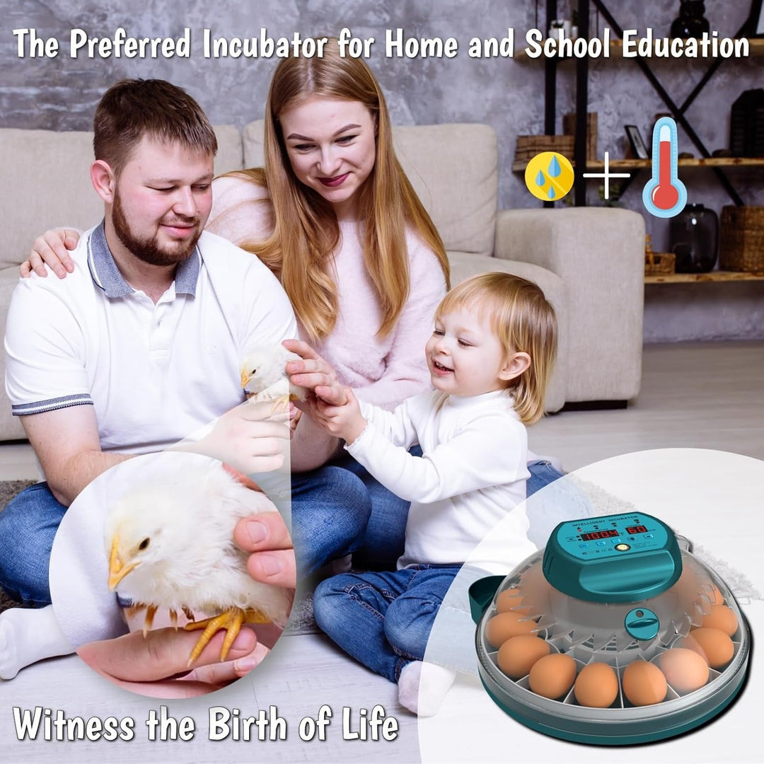 15 egg incubator with auto humidity and candler, showing a clear lid and digital display for easy monitoring and control.