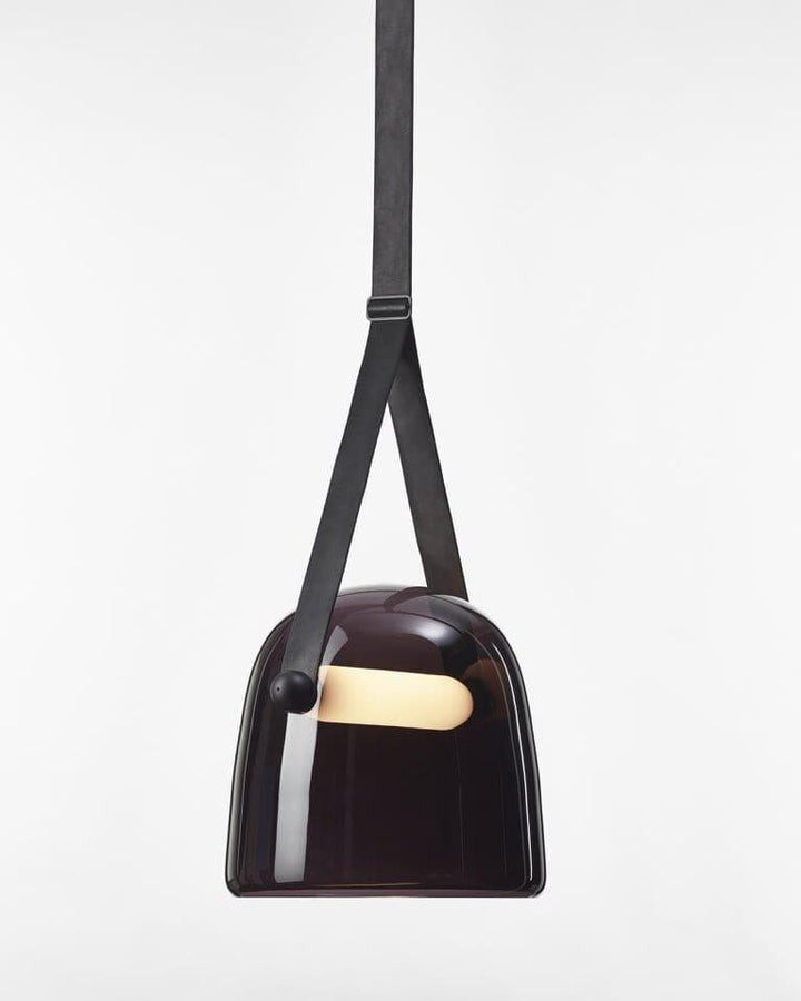 Modern Pendant Lamp with Metal Accents