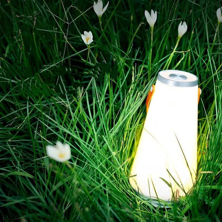 Portable LED Camping Lantern with 24H Runtime