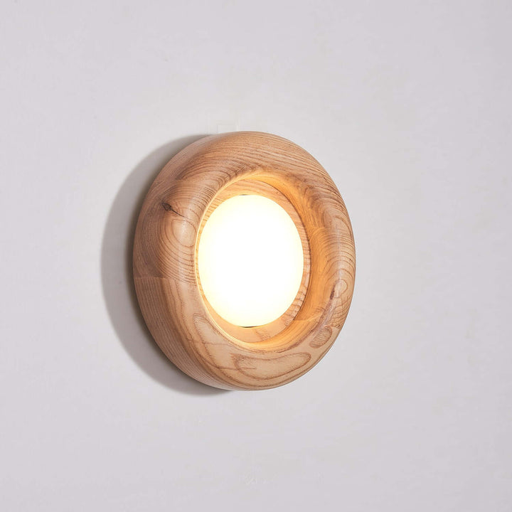 Modern Wood & Acrylic Wall Light