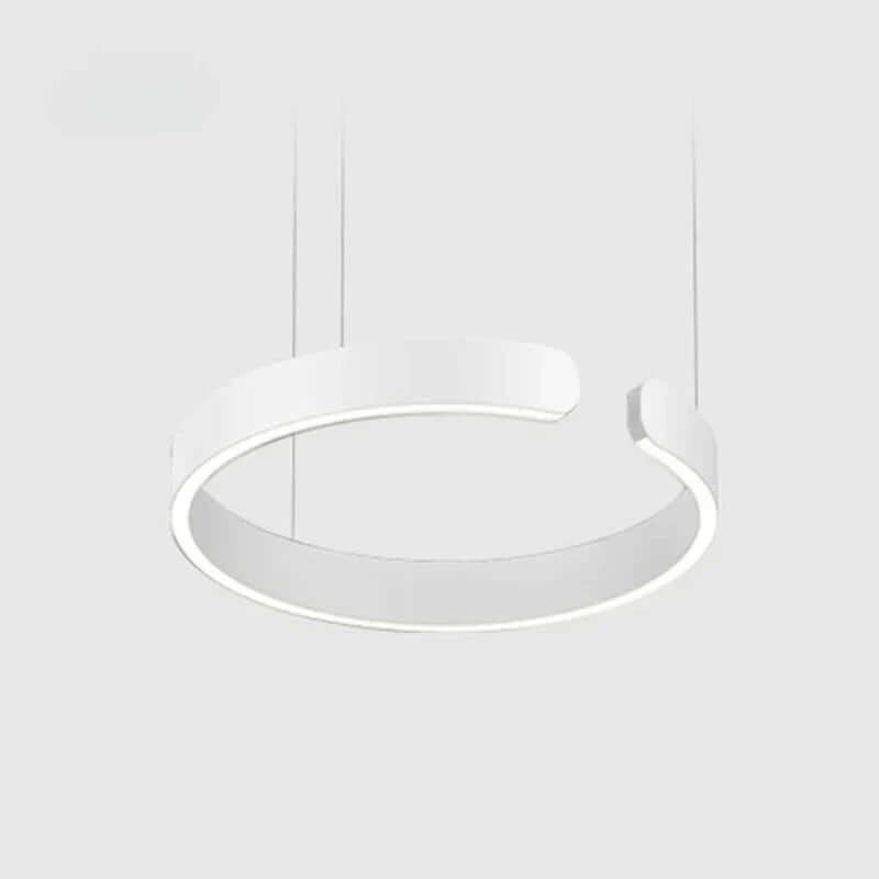 Modern Circle LED Pendant Light, 40/60/80cm