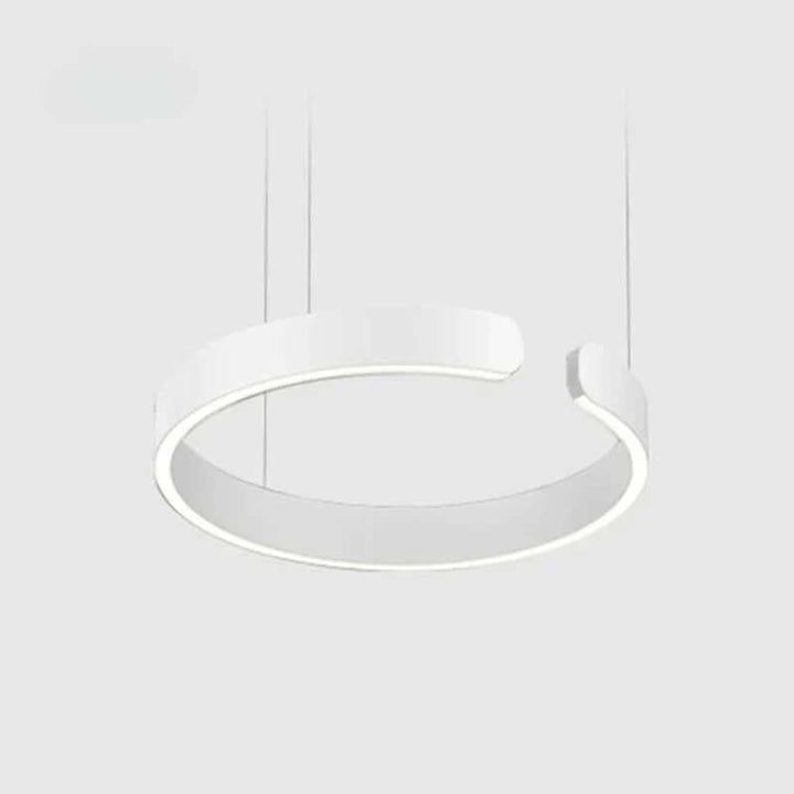 Modern Circle LED Pendant Light, 40/60/80cm