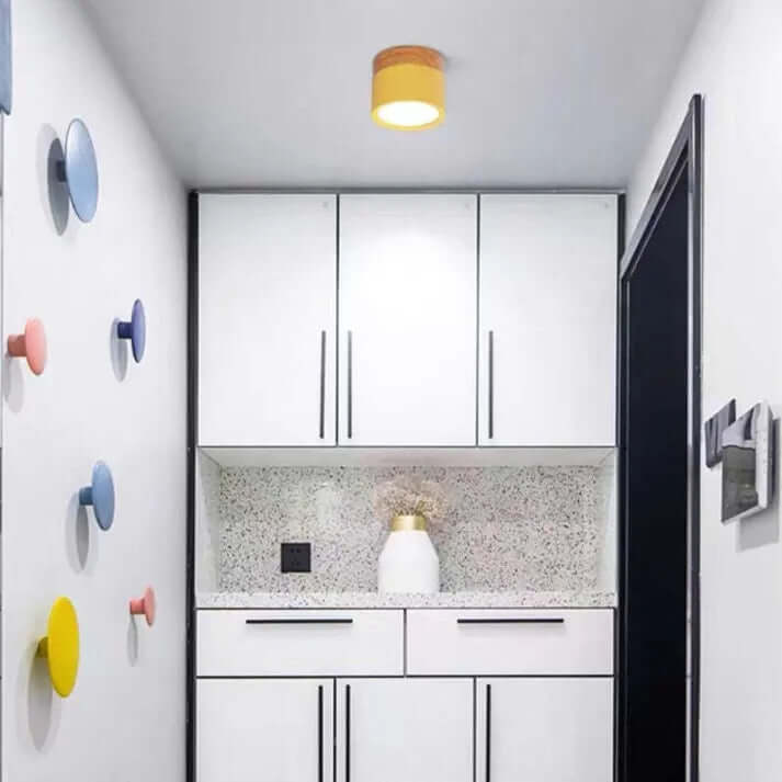 Modern Cylinder LED Ceiling Light for Hallways