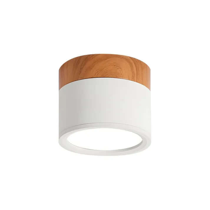 Modern Cylinder LED Ceiling Light for Hallways
