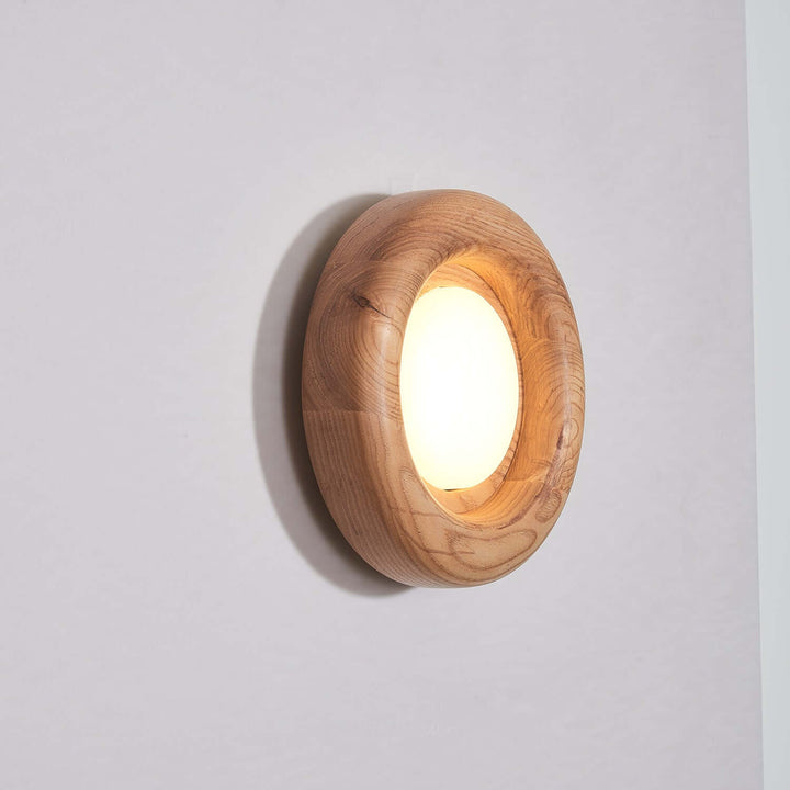 Modern Wood & Acrylic Wall Light