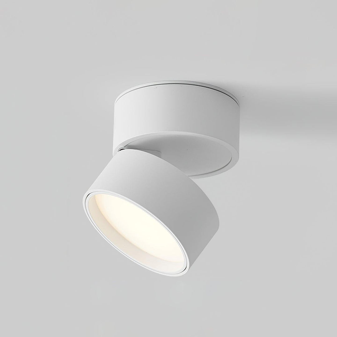 Adjustable LED Ceiling Spotlight Fixture, Warm White, 10cm
