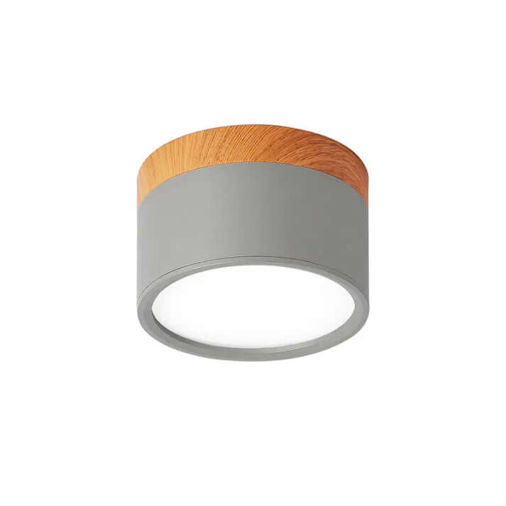 Modern Cylinder LED Ceiling Light for Hallways