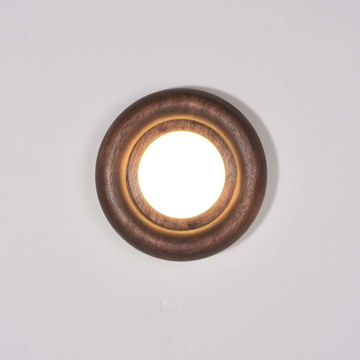 Modern Wood & Acrylic Wall Light