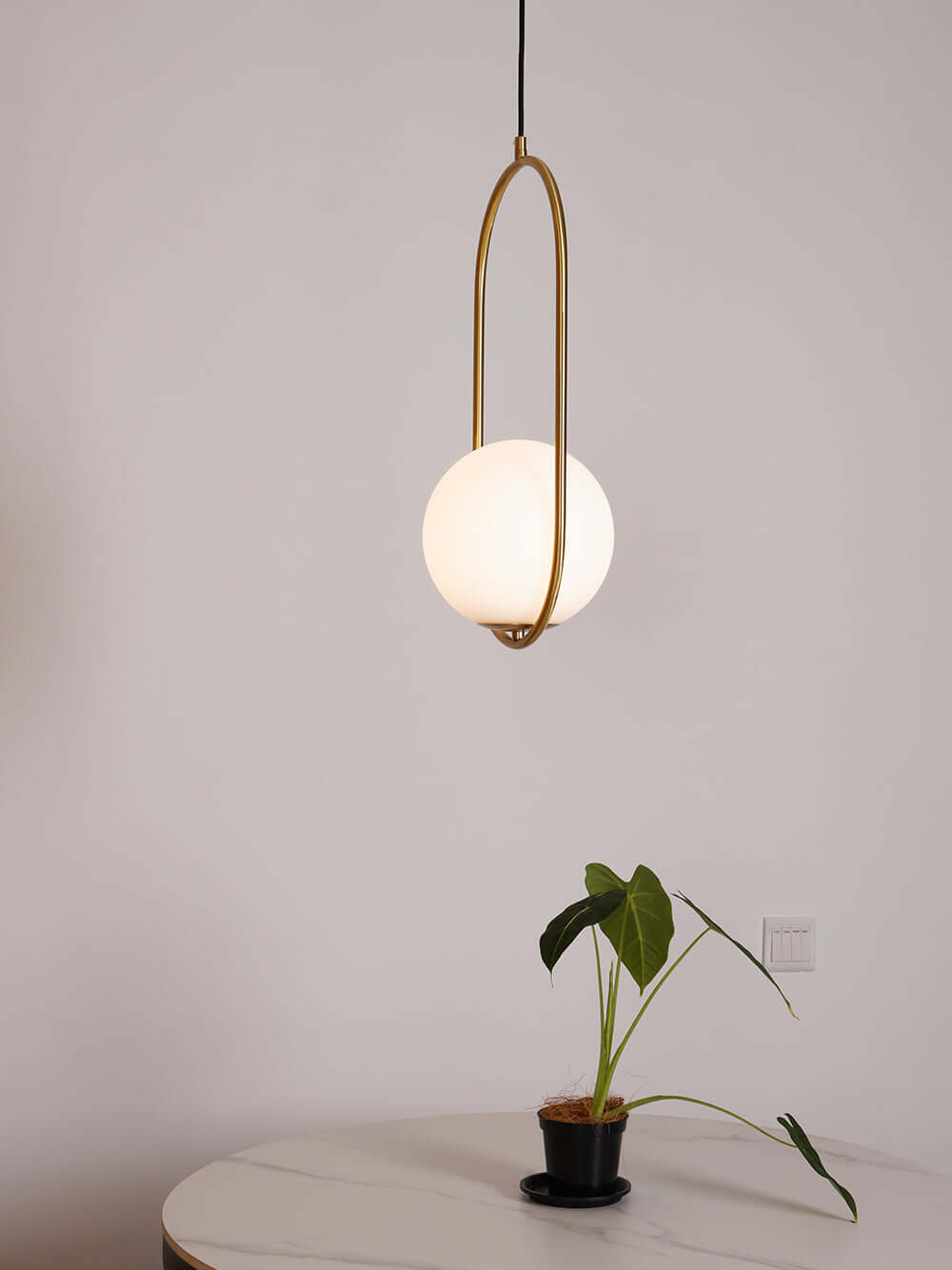 Modern Pendant Lamp with Metal & Glass
