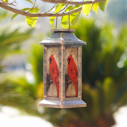 Solar Cardinal Lantern Outdoor Garden Light