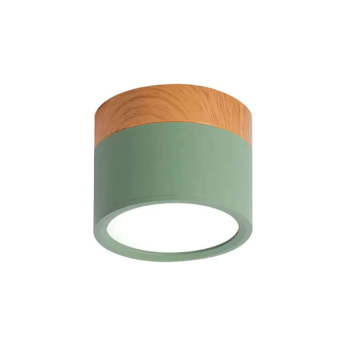 Modern Cylinder LED Ceiling Light for Hallways