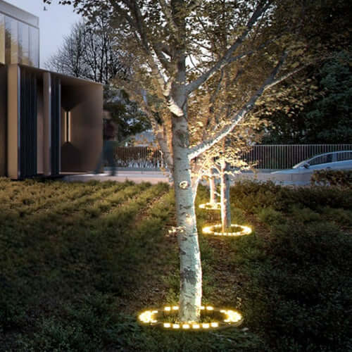 Outdoor Tree Spotlight