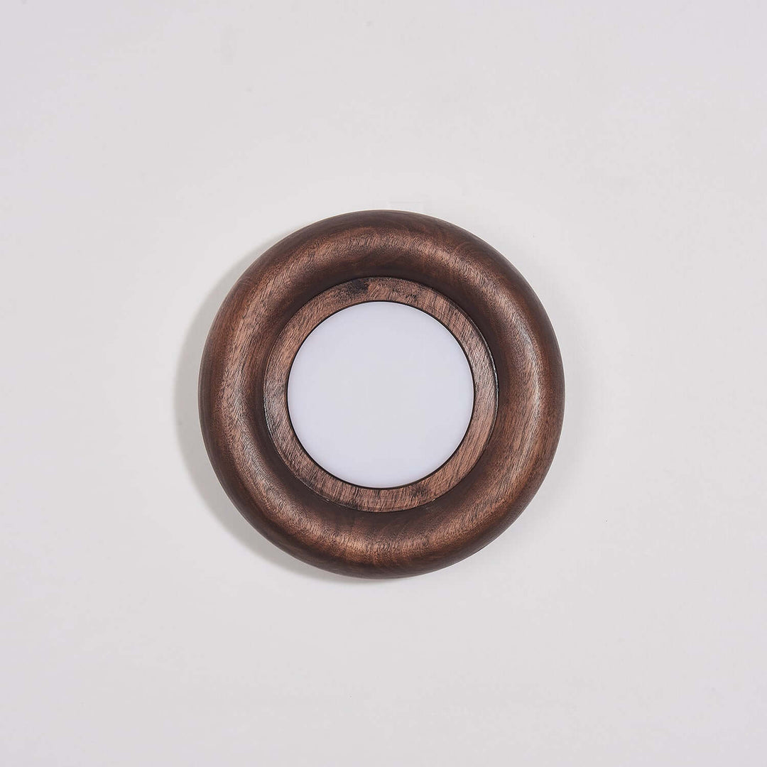 Modern Wood & Acrylic Wall Light