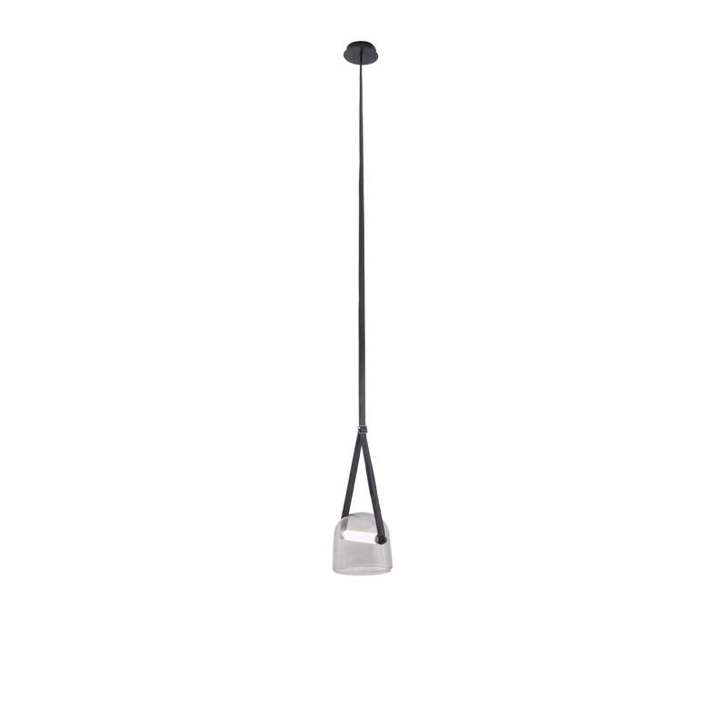 Modern Pendant Lamp with Metal Accents
