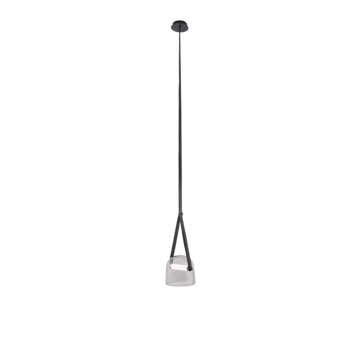 Modern Pendant Lamp with Metal Accents