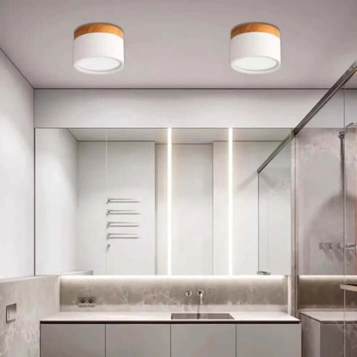 Modern Cylinder LED Ceiling Light for Hallways