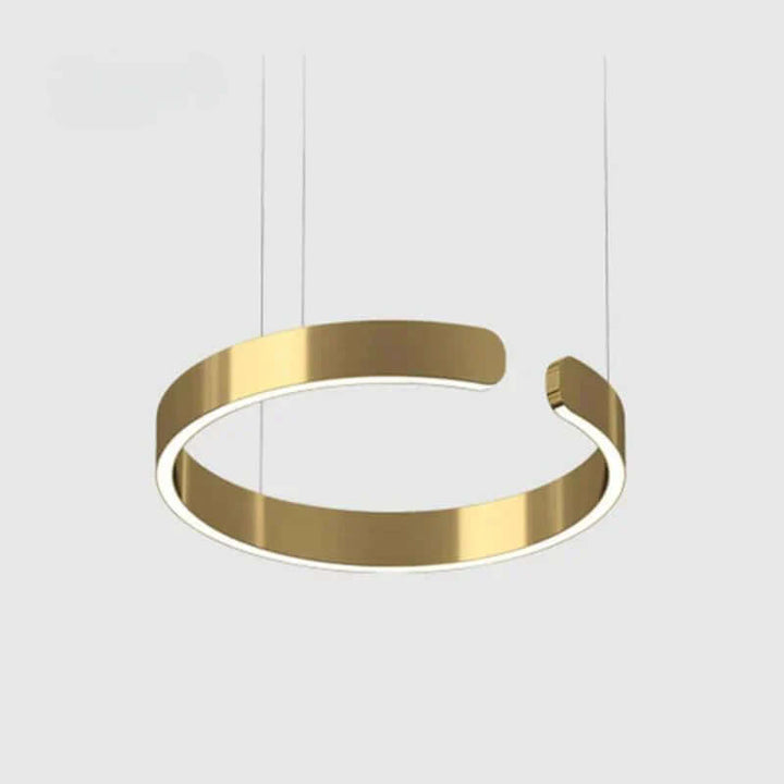 Modern Circle LED Pendant Light, 40/60/80cm