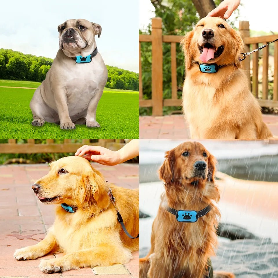 Adjustable anti-bark dog collar for gentle, humane pet training. Stops excessive barking effectively.