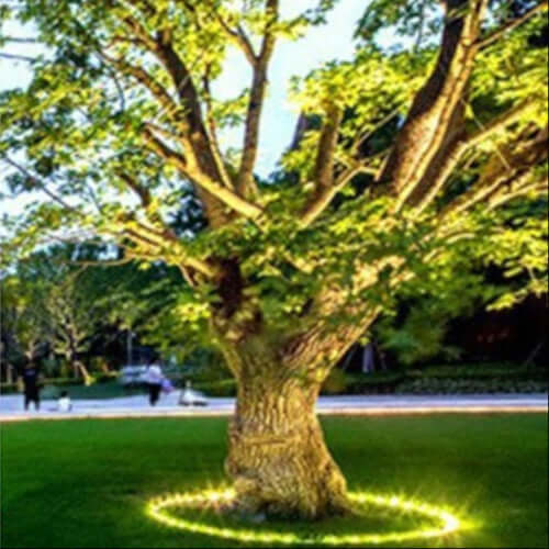 Outdoor Tree Spotlight