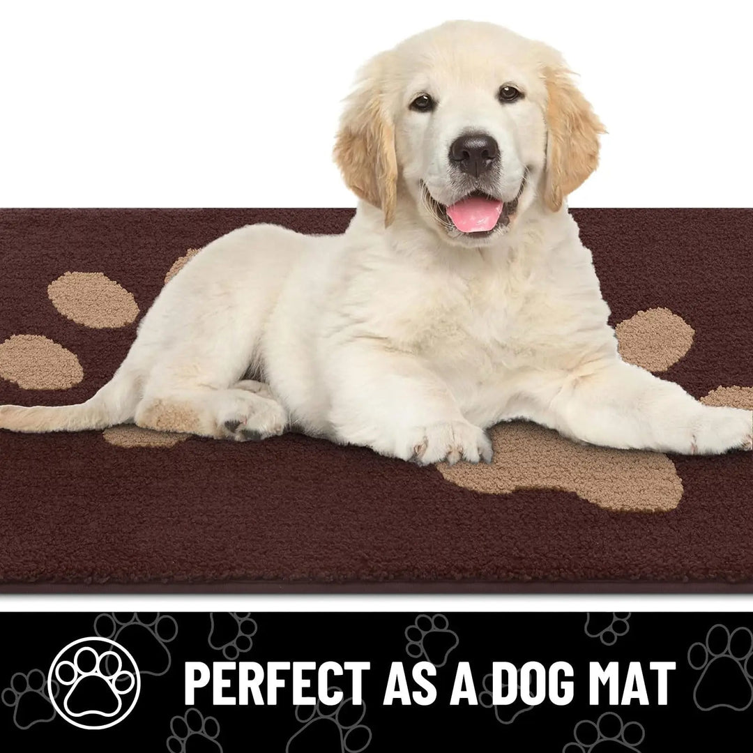 Absorbent dog door mat with non-slip backing, quick drying, chenille texture, ideal for trapping pet paws dirt and moisture.