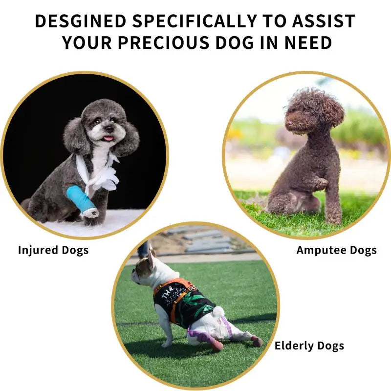 Adjustable dog lift harness for senior pets, full-body support sling, ergonomic design, padded and breathable material.