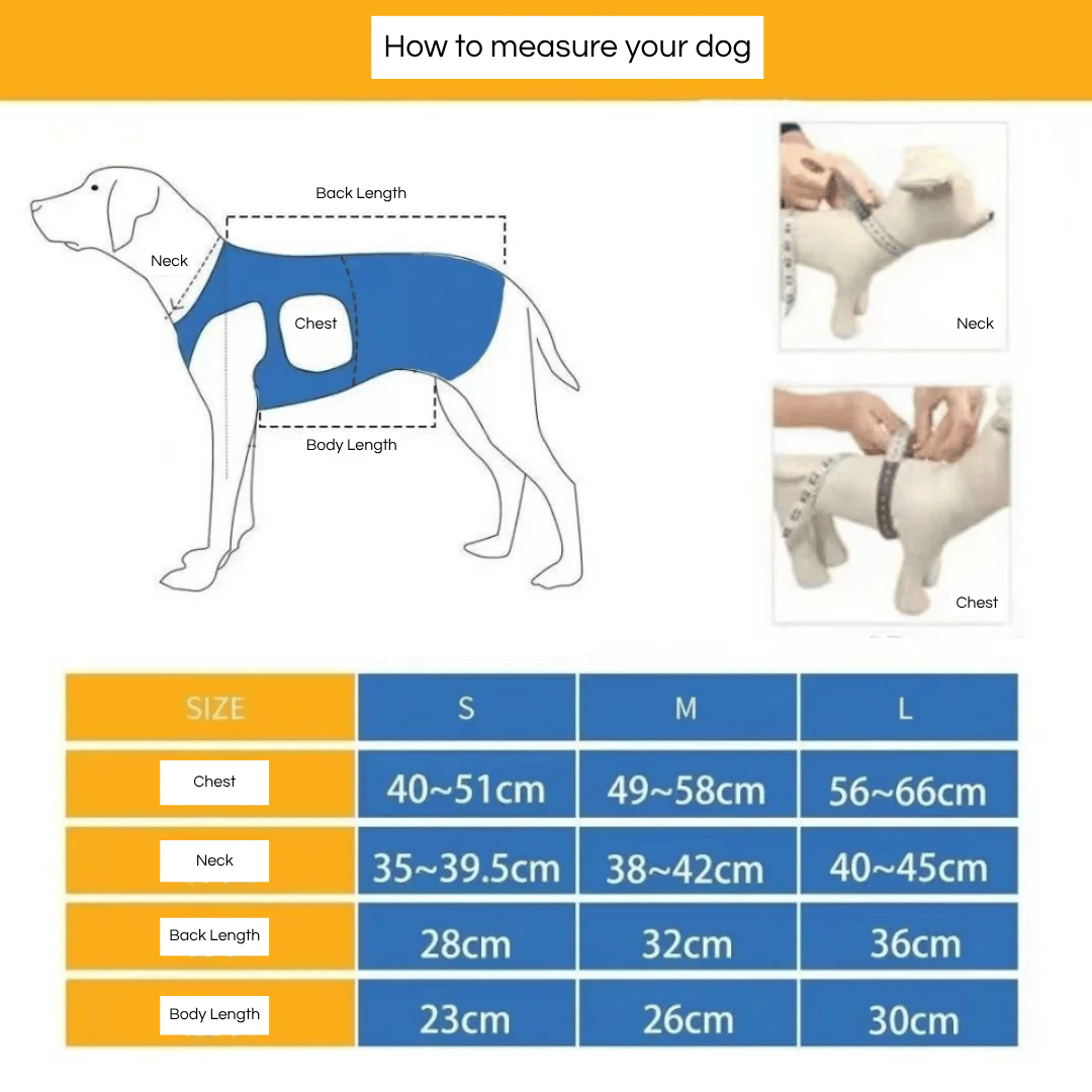 Adjustable dog lift harness for senior pets, full-body support sling, ergonomic design, padded and breathable material.