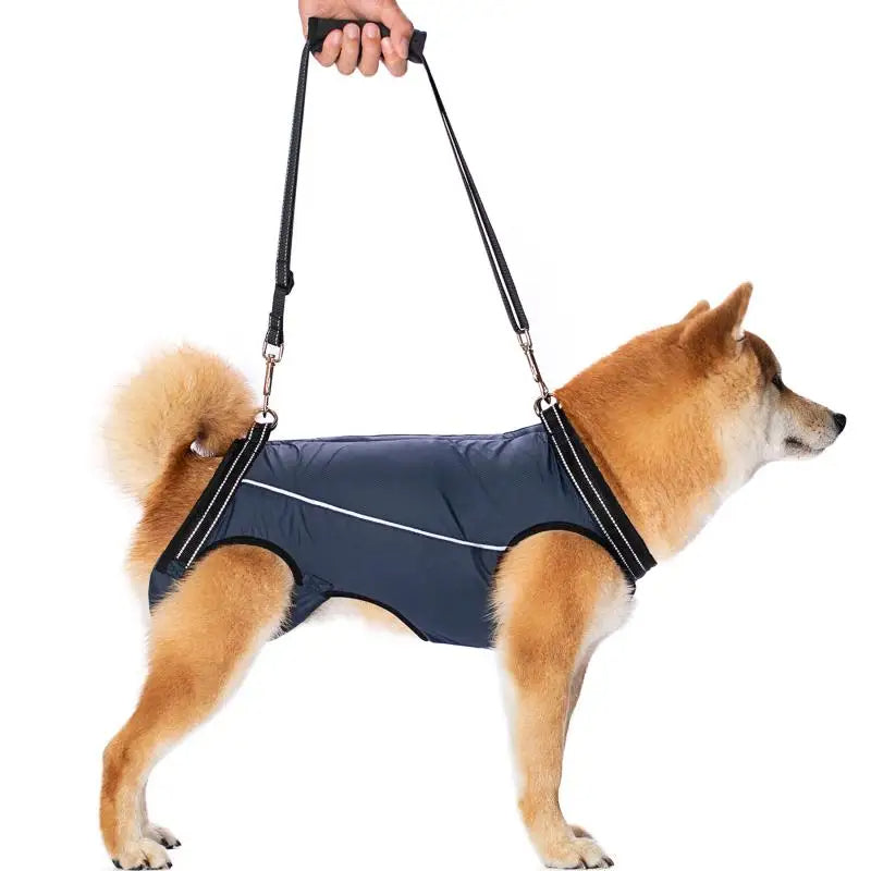 Adjustable dog lift harness for senior pets, full-body support sling, ergonomic design, padded and breathable material.