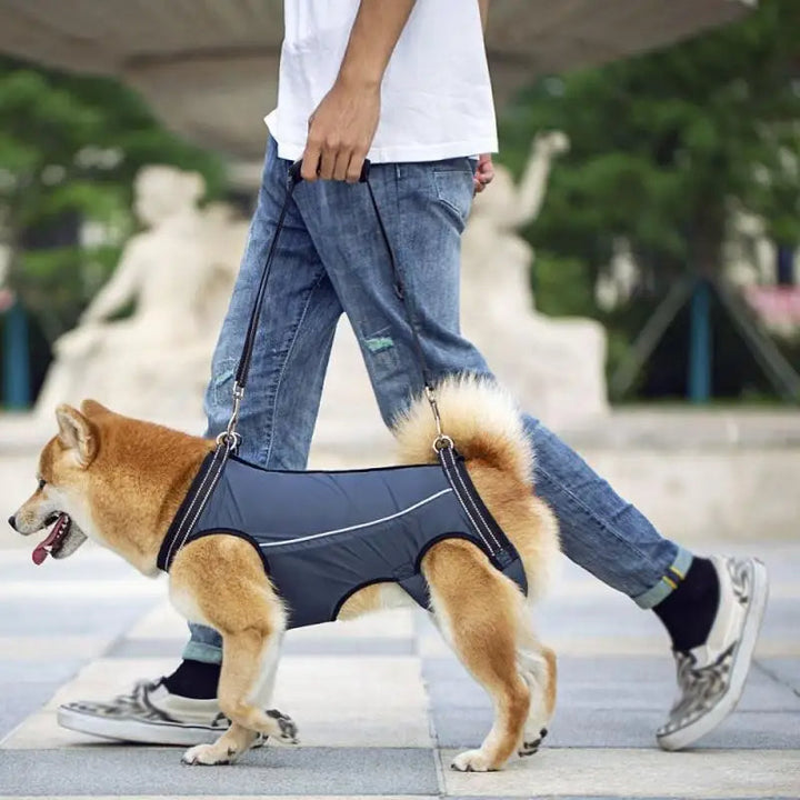Adjustable dog lift harness for senior pets, full-body support sling, ergonomic design, padded and breathable material.