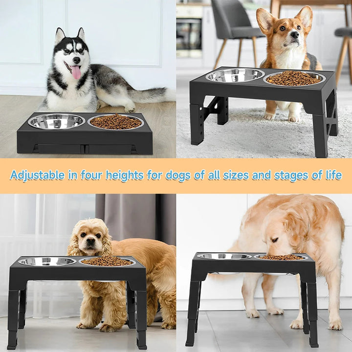 "Adjustable tilt raised dog bowl stand with stainless and slow-feed bowls, ergonomic design for comfortable pet feeding."
