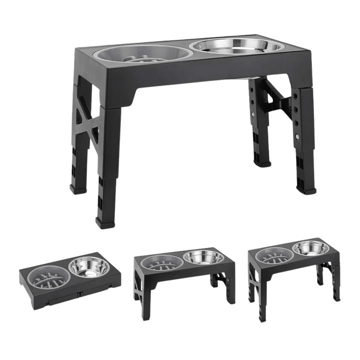 "Adjustable tilt raised dog bowl stand with stainless and slow-feed bowls, ergonomic design for comfortable pet feeding."