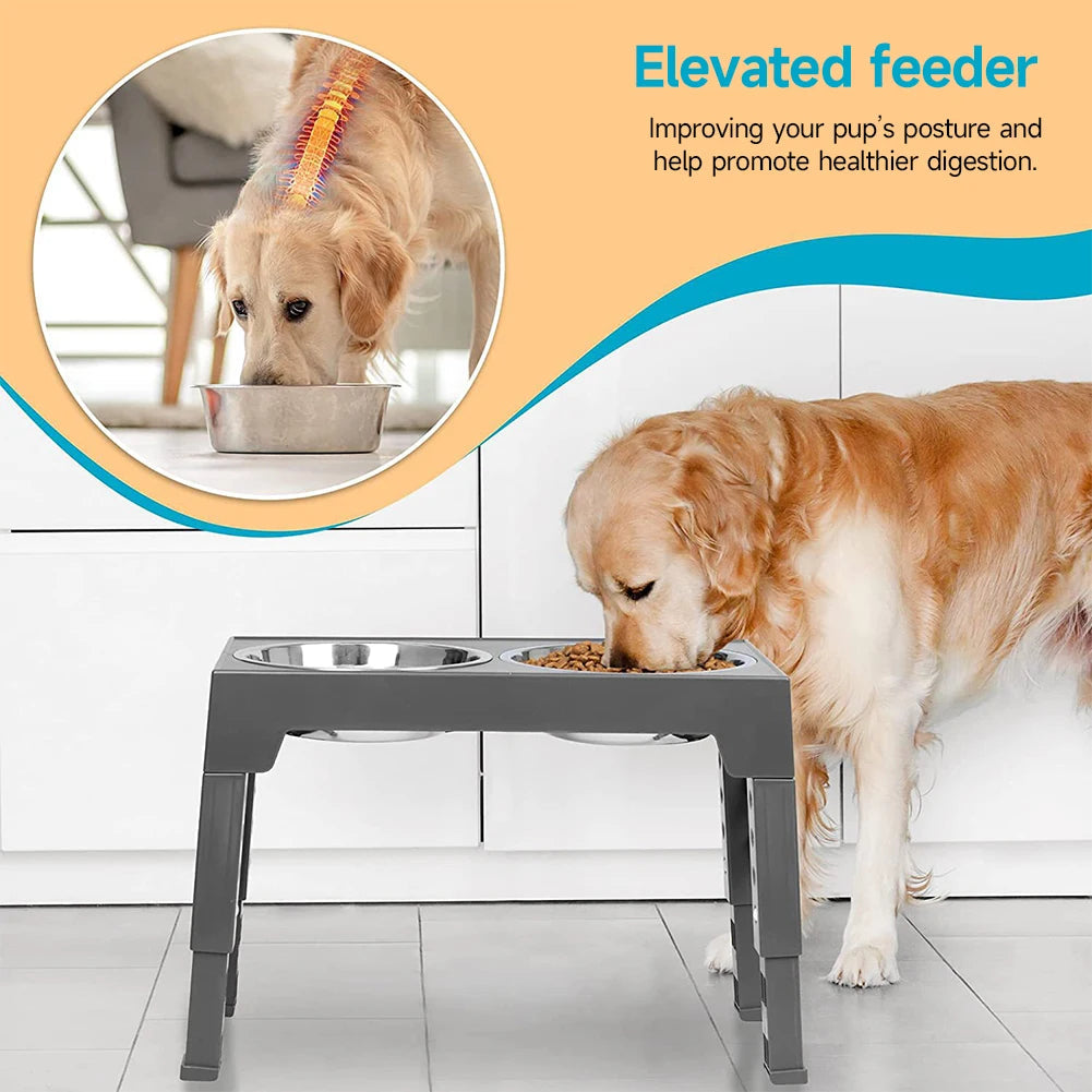 "Adjustable tilt raised dog bowl stand with stainless and slow-feed bowls, ergonomic design for comfortable pet feeding."