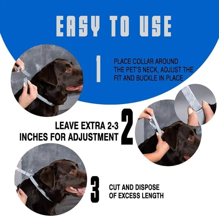 "Adjustable waterproof flea and tick collar for cats and dogs, featuring natural essential oils and eco-friendly design."