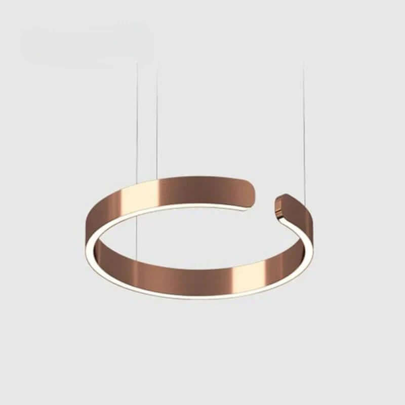 Modern Circle LED Pendant Light, 40/60/80cm
