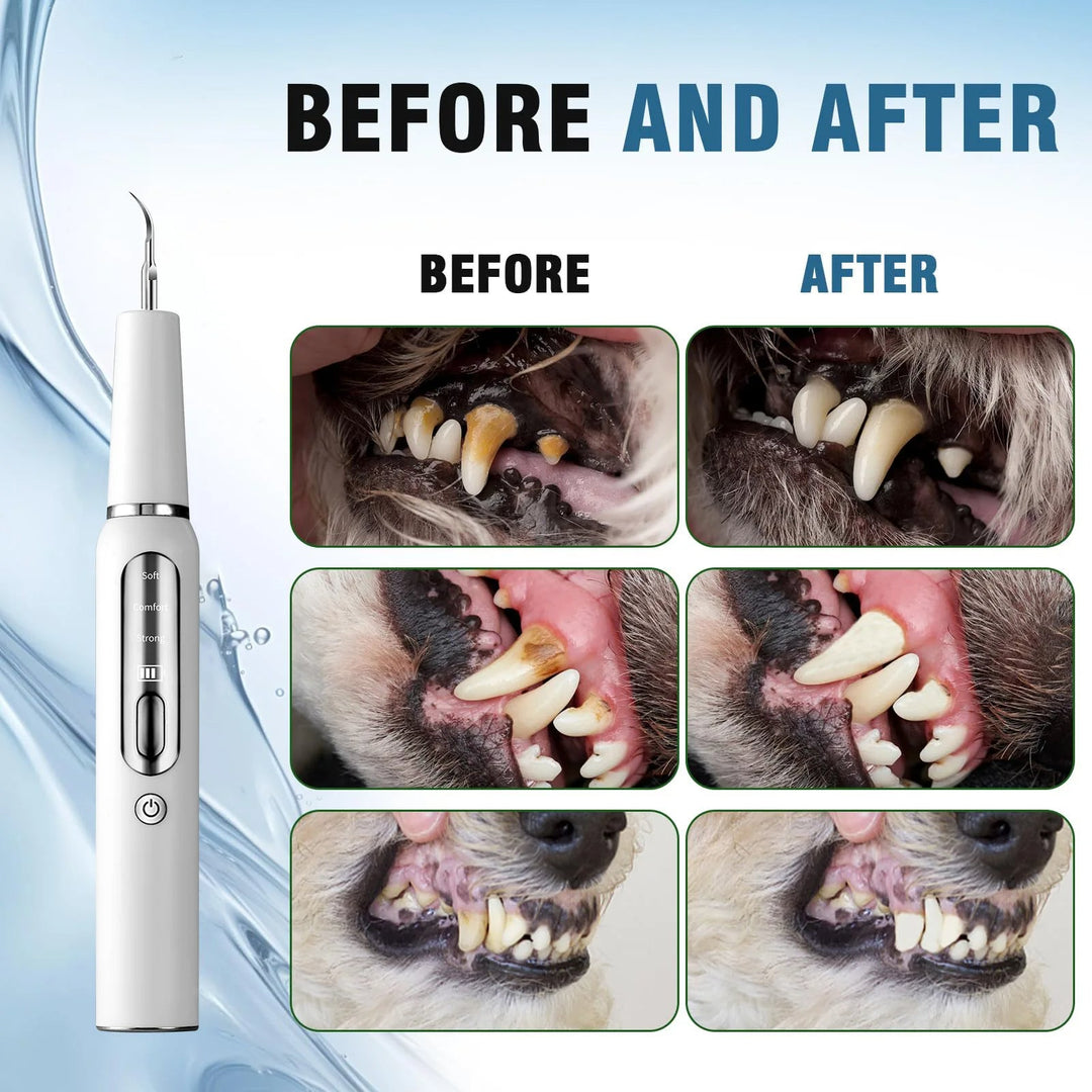 "Black pet dental tool kit for dogs and cats, ultrasonic cleaning, promotes oral hygiene and fresh breath, easy USB recharge.