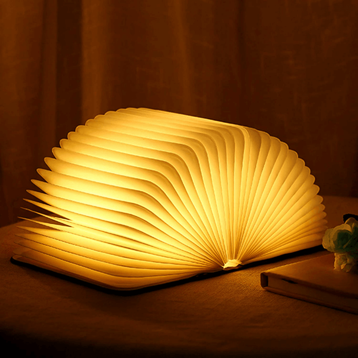 LED Book Lamp, Rechargeable, Dimmable, Brown, 22cm