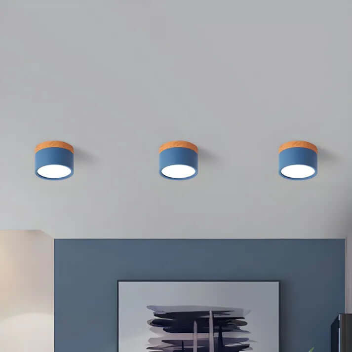 Modern Cylinder LED Ceiling Light for Hallways