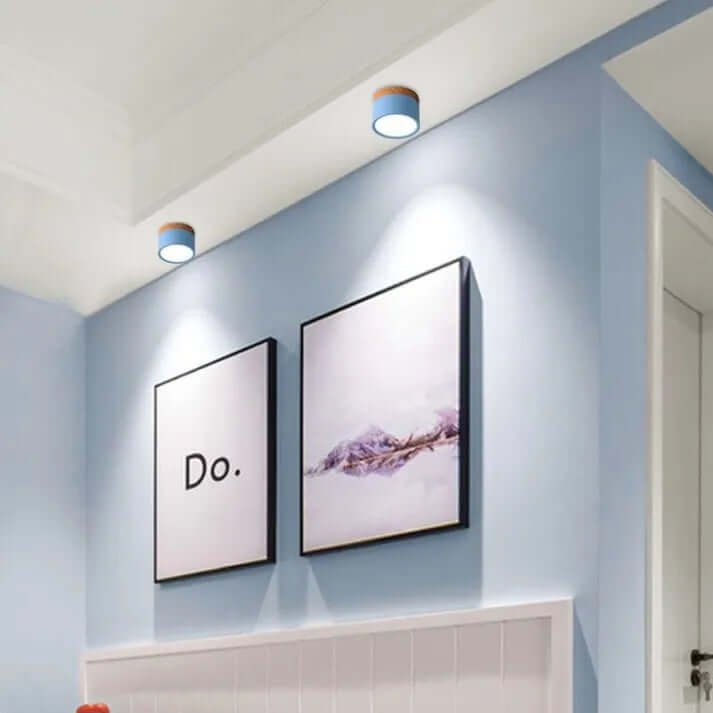 Modern Cylinder LED Ceiling Light for Hallways