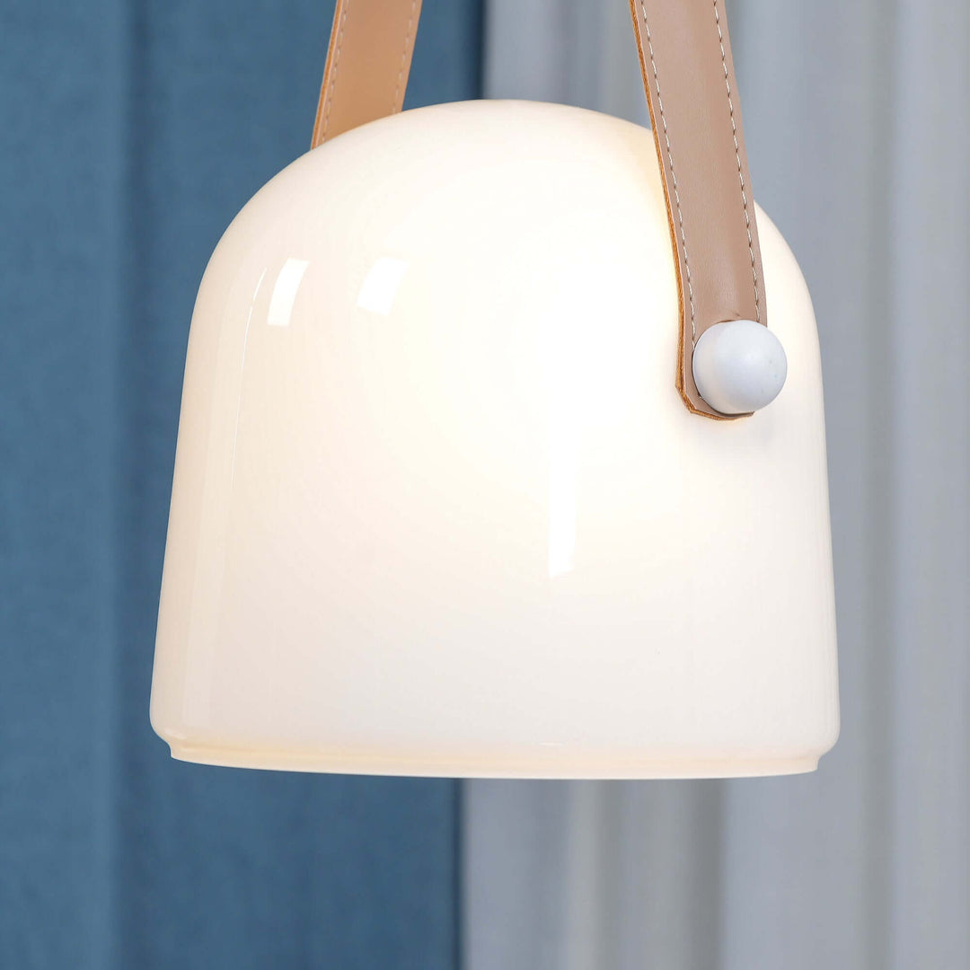 Modern Pendant Lamp with Metal Accents