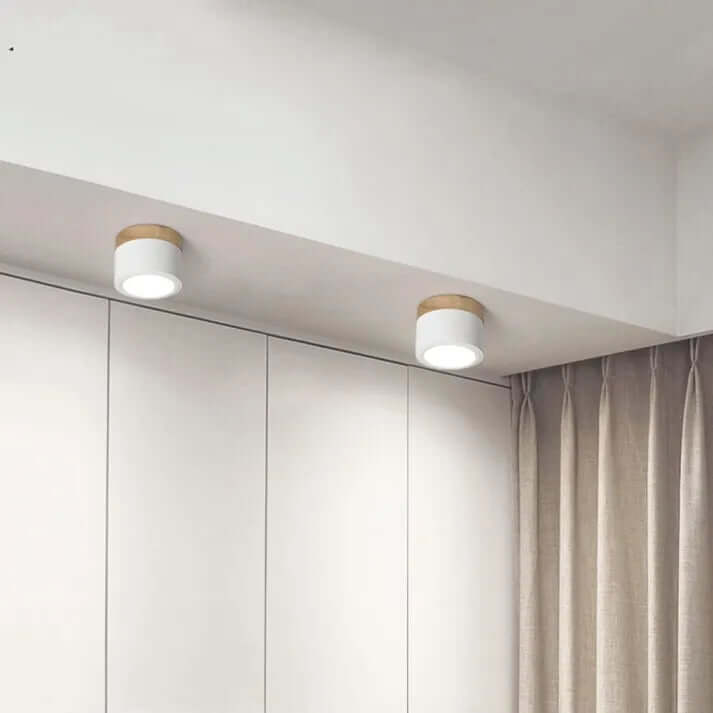 Modern Cylinder LED Ceiling Light for Hallways