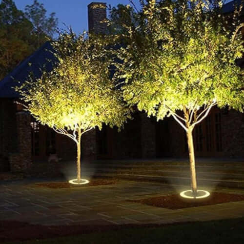 Outdoor Tree Spotlight