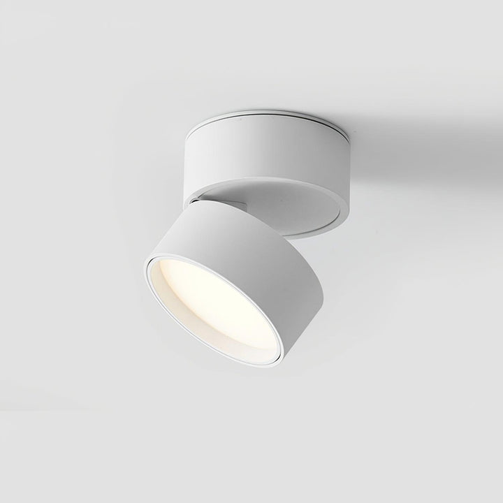 Adjustable Ceiling Spotlight Lamp, Rotatable, Warm White